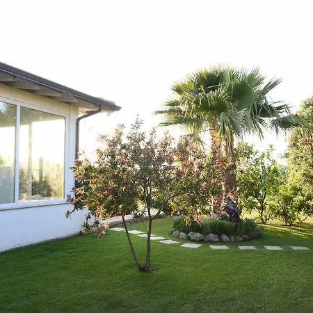 Letizia * كامبوفيليتْشّي دي روتْشّي