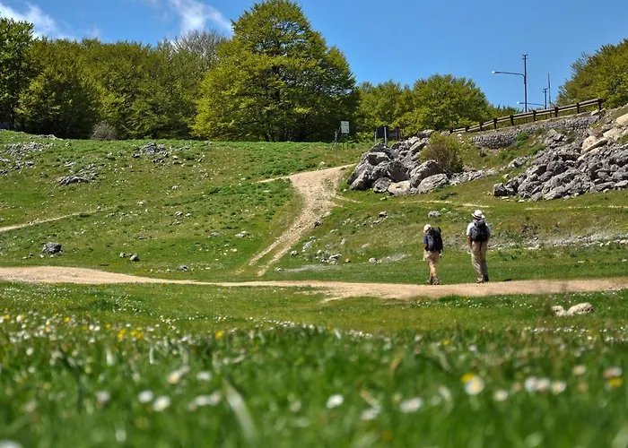 Letizia Hébergement de vacances
