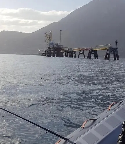 Letizia Campofelice Di Roccella